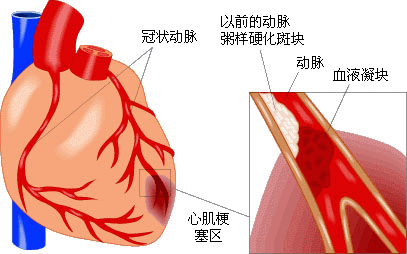 東方女性網m.vgf-online.com