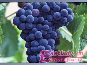 东方女性网www.eastlady.cn