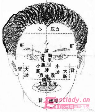 最全的麵相痣圖解,從麵相痣圖解看你的運勢-東方女性網-m.vgf-online.com