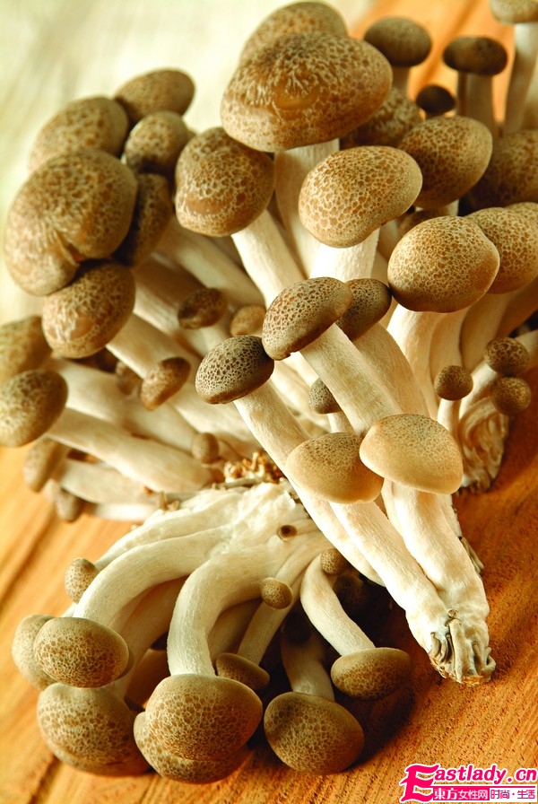 蘑菇的美容功效与作用-保湿抗衰老