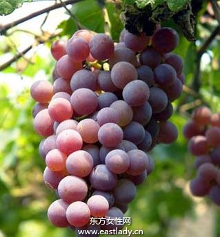 葡萄很好的補鐵補血食物