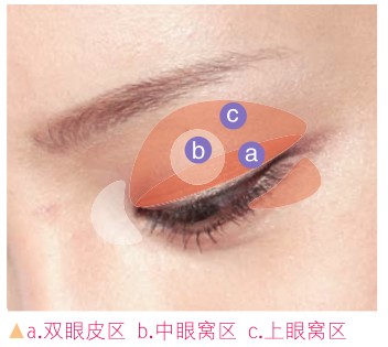化妆教程之基本款棕色眼影的使用步骤