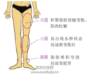 水腫容易導致下半身肥胖