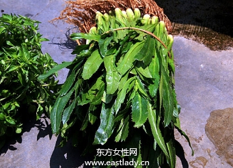 春吃野菜要注意些什么