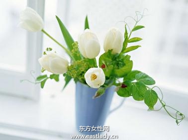 巧用冰水养花