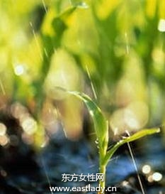 梅雨季節需防黴