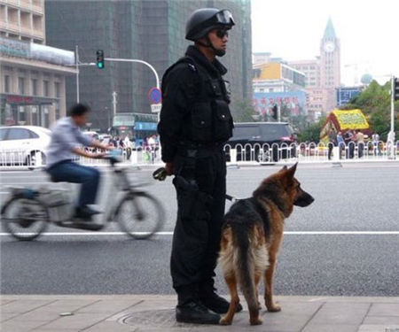 警察抓錯人被公訴 跨省抓人鬧烏龍