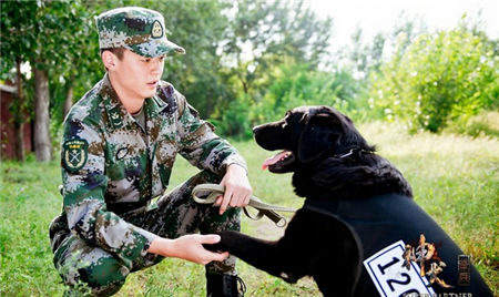 《神犬奇兵》曝導演特輯 震撼呈現人犬情