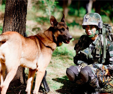 《神犬奇兵》小米加步槍 萌犬亮相玩轉暑期檔