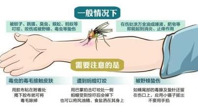 被毒蚊子咬了怎么办？蚊子咬了怎么消肿止痒