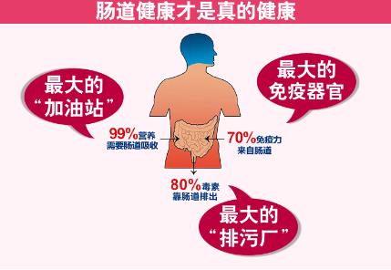 益生菌有必要买吗？益生菌的作用