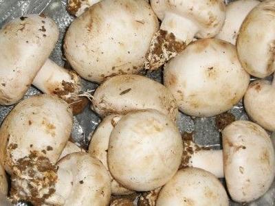 口蘑的营养价值-口蘑怎么吃更好