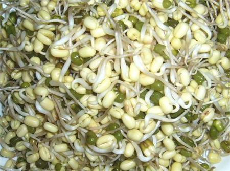 吃绿豆芽有什么好处？绿豆芽的营养价值，绿豆芽的功效与作用