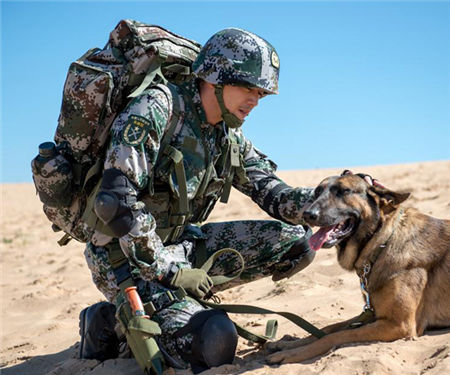 《神犬奇兵》點擊2億 型男楊爍人氣沸騰