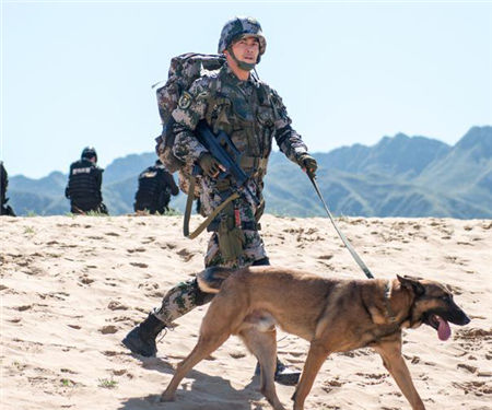 《神犬奇兵》點擊2億 型男楊爍人氣沸騰