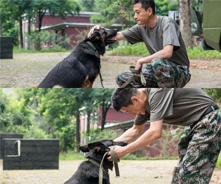 《神犬奇兵》點擊2億 型男楊爍人氣沸騰