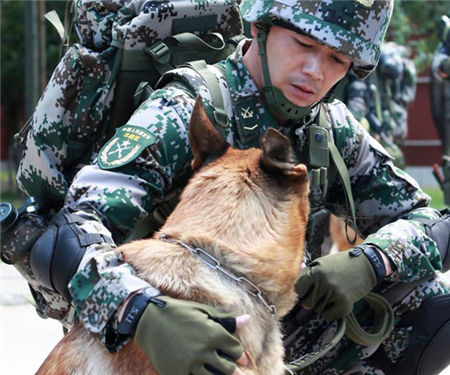 《神犬奇兵》點擊2億 型男楊爍人氣沸騰