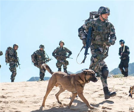 《神犬奇兵》收官 觀眾期待《神犬小七》