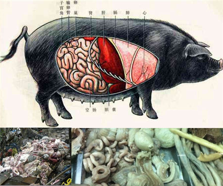 動物內髒煉油黑點被查 辯稱吃了沒事