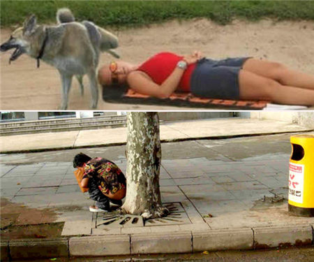 女子草丛小便遭恶狗撕咬 治病花万元犬主耍赖