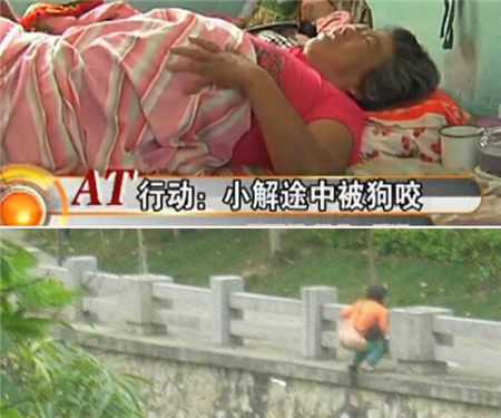 女子草丛小便遭恶狗撕咬 治病花万元犬主耍赖
