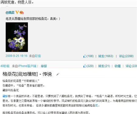 姚晨回应出轨传闻:满纸荒唐