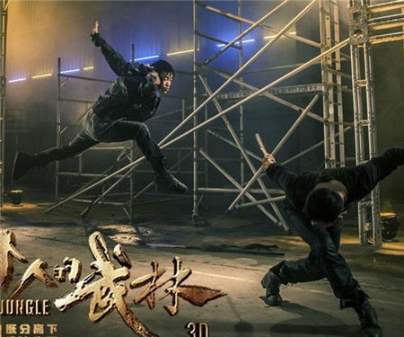 《一个人的武林》甄子丹龙困浅滩正邪难辨