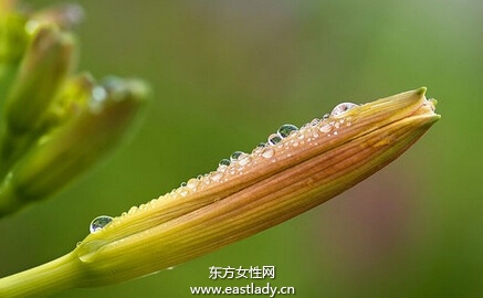 警告！这几种食物千万别给家人吃！