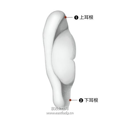 中医望闻问切之望耳诊病