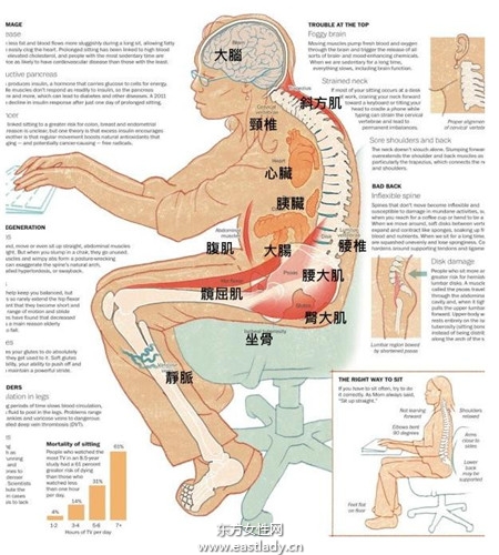 久坐不動危害大
