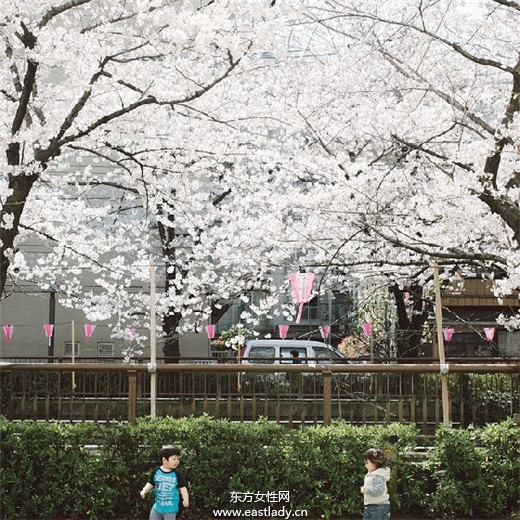 去日本看樱花必去的4大景点