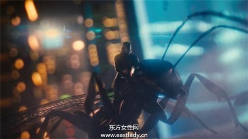 蚂蚁人(Ant man)