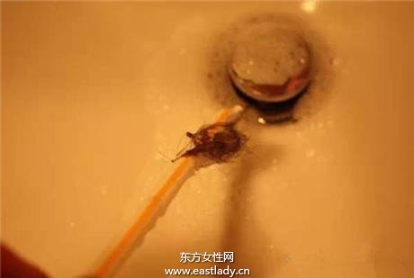 排水管被頭發堵住？一根小吸管解決你煩惱！