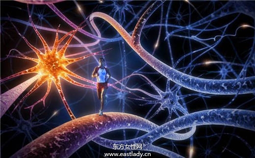 关于人脑你不可不知的16个冷知识