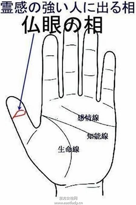 日本網友瘋傳　大拇指上的佛眼測試