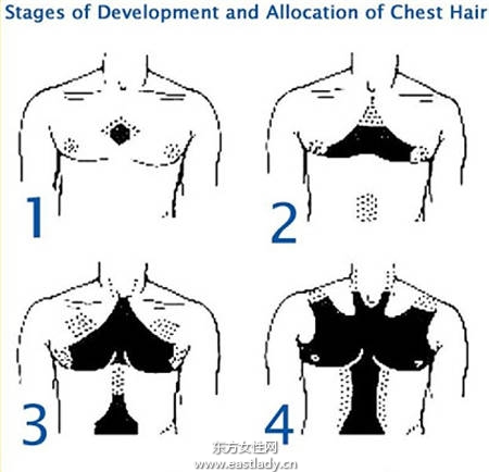 胸毛增添男人性感度 女人就愛這一味！