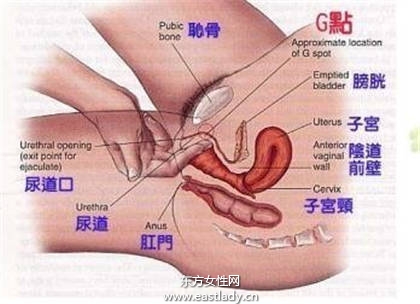 刺激女人g点男人们用对方法了吗