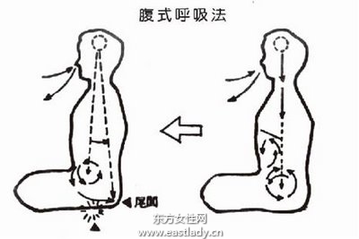 正确呼吸方式健康_腹式呼吸法_呼吸作用