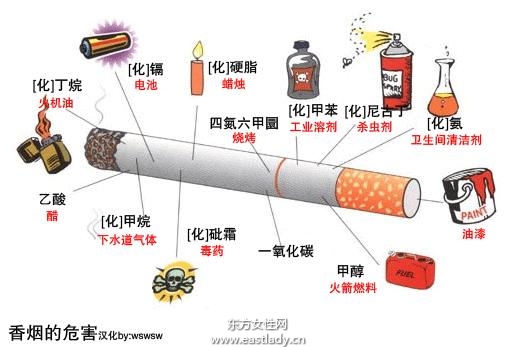 吸烟的危害大 正确认识才能有效戒烟