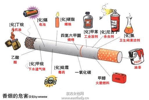 吸煙的危害大 正確認識才能有效戒煙_吸煙的危害有哪些,吸煙的壞處