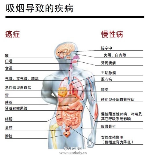 吸煙的危害大 正確認識才能有效戒煙_吸煙的危害有哪些,吸煙的壞處