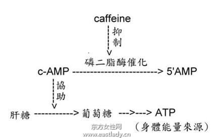 戒掉咖啡因 有助睡眠告别头痛_咖啡因的作用_咖啡因是什么