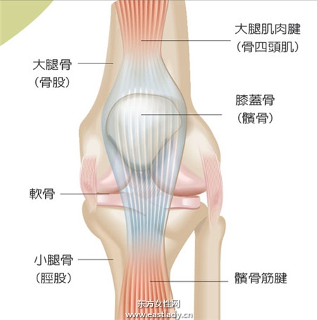 膝盖疼是怎么回事？长期坏习惯很伤膝盖