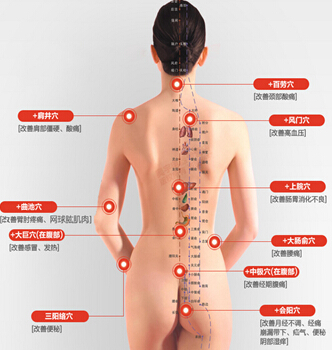 经络养生,经络强壮身体养生祛病