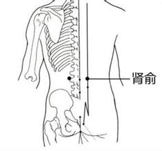 如何补肾,按摩肾俞穴的方法及补肾功效