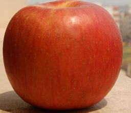 小编推荐,多吃苹果可预防前列腺炎
