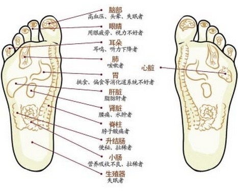 脚底穴位图,,脚底按摩的功能