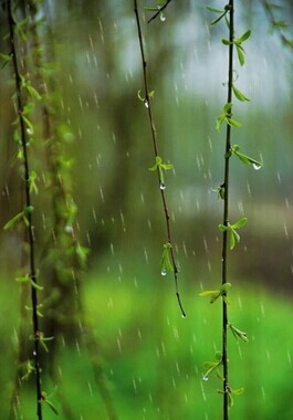 夏季保健常识,夏季雷雨天如何饮食调养