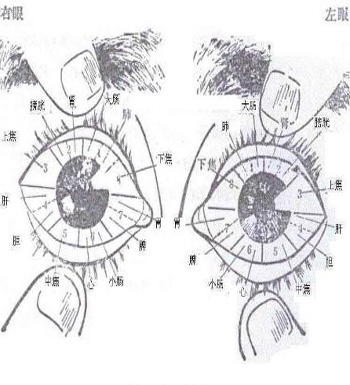 中医特色眼针疗法 眼针疗法又是如何取穴的