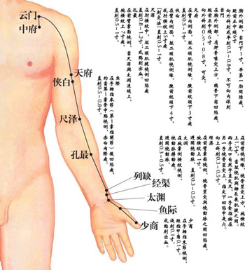 手太陰肺經養生 肺經各穴位的位置與作用